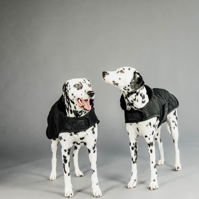 Kentucky Original Dog Coat - Black/Black-1