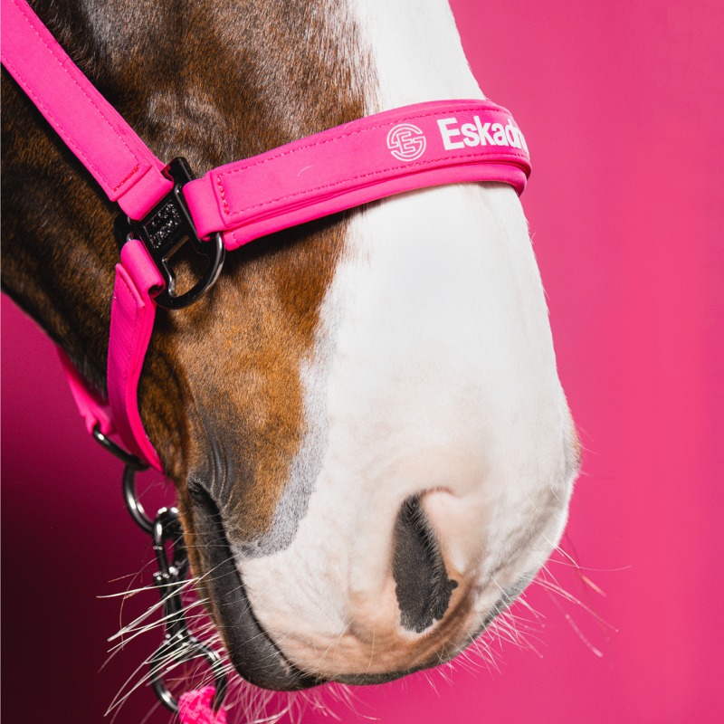 Eskadron Softshell Double Pin Headcollar - Lipstick-1