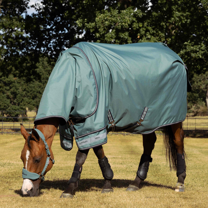 LeMieux Arika Ripstop 100g Turnout Rug - Aloe-1