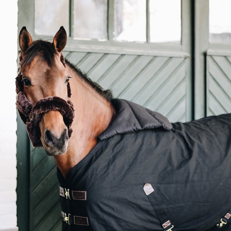 Kentucky Summer Horse Bib - Black-1