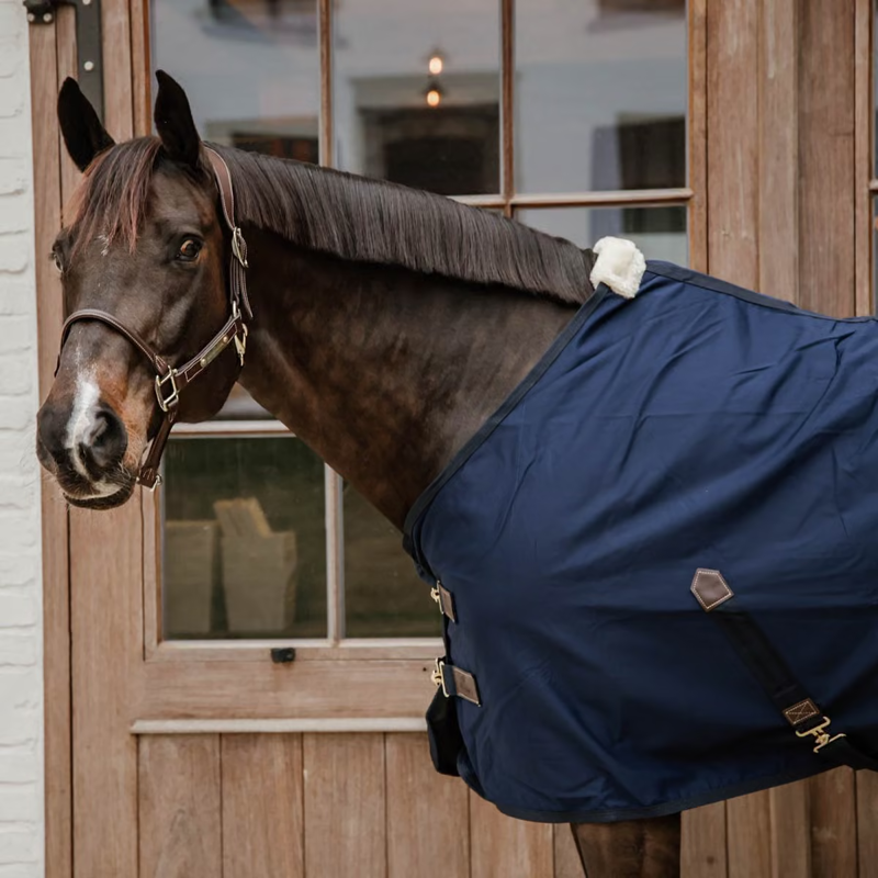 Kentucky Cotton Sheet - Navy-1