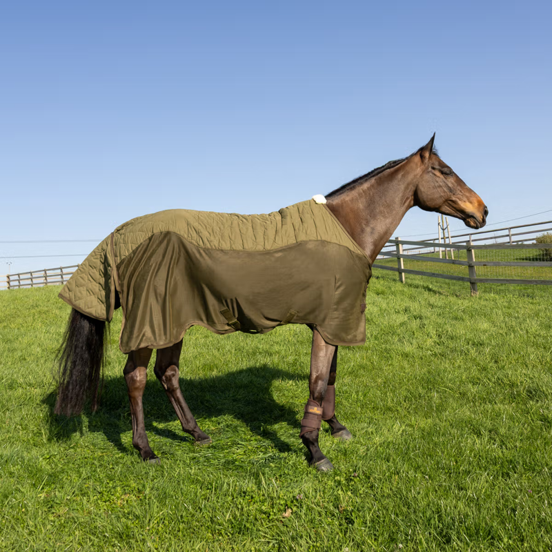 Kentucky Transport Combo Fleece Cooler - Pine Green-1