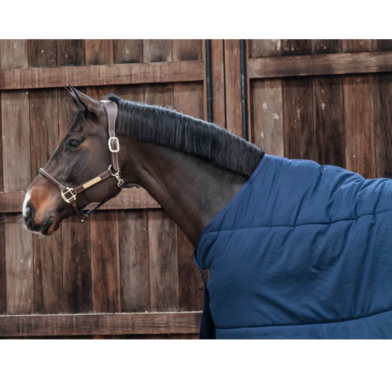 Kentucky Classic 300g Under Rug - Navy-1