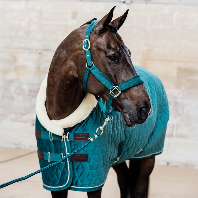 Kentucky Velvet Show Rug - Emerald-1