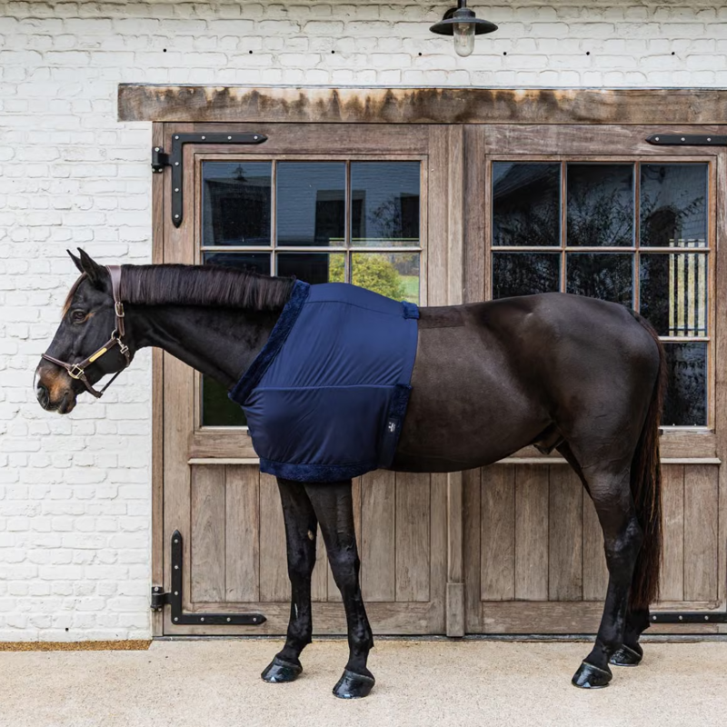 Kentucky Chest Protection - Navy-3