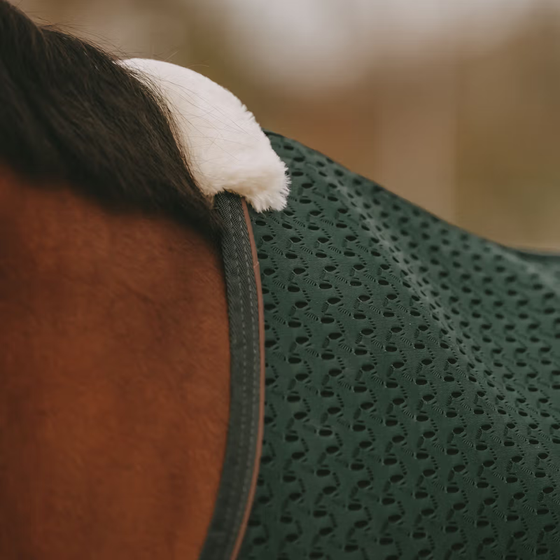 Kentucky 4D Spacer Cooler Sheet Rug - Pine Green-1