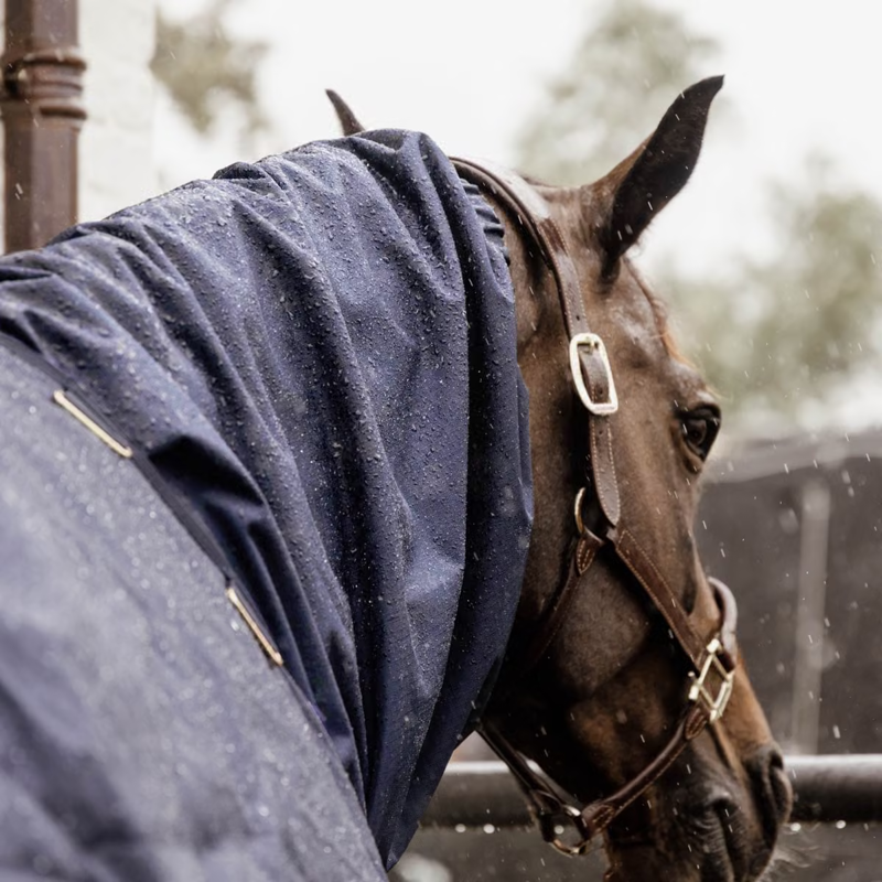 Kentucky Classic Waterproof Neck Cover - Navy-3