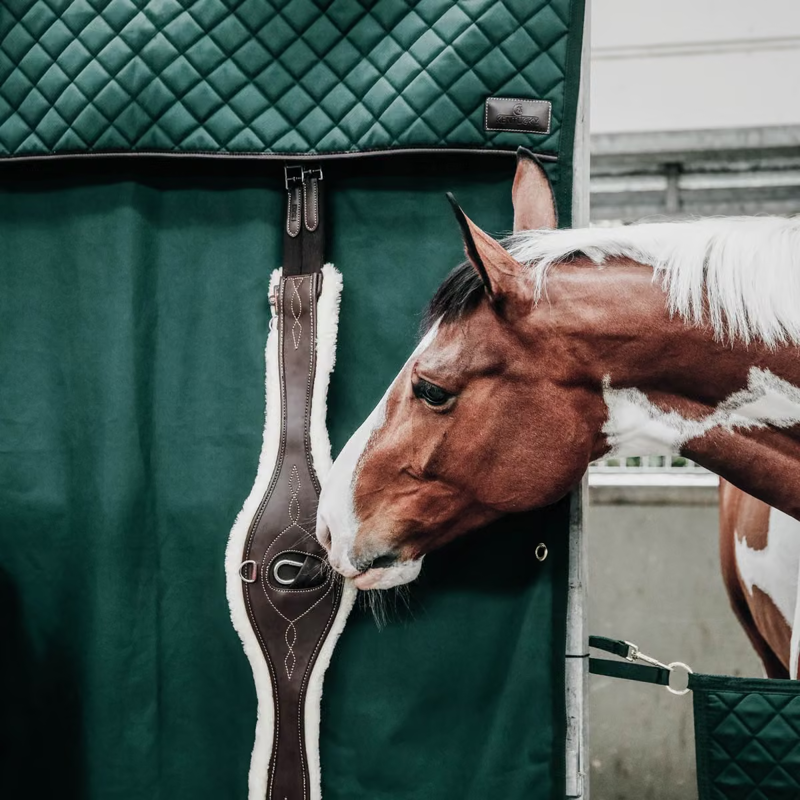 Kentucky Waterproof Stable Curtain - Dark Green-1
