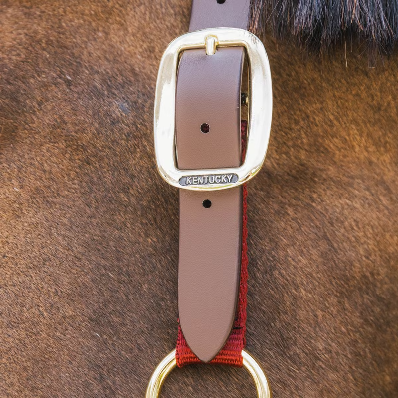 Kentucky Nylon Breakaway Headcollar - Bordeaux-1