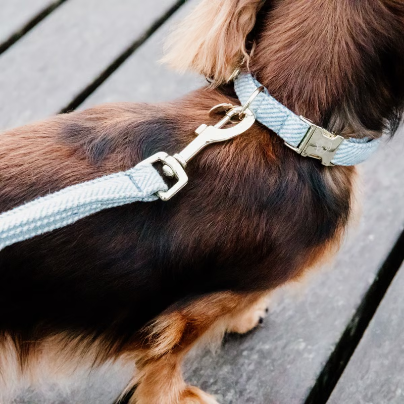 Kentucky Wool Dog Lead 120cm - Light Blue-1