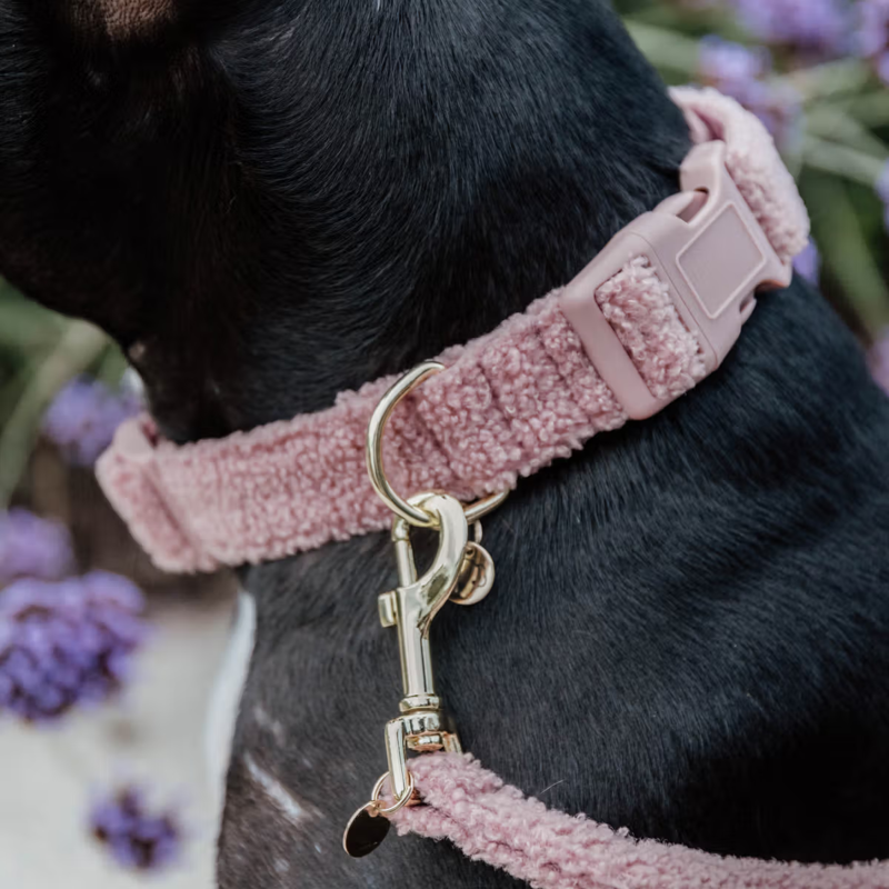 Kentucky Teddy Fleece Dog Collar - Old Rose-1
