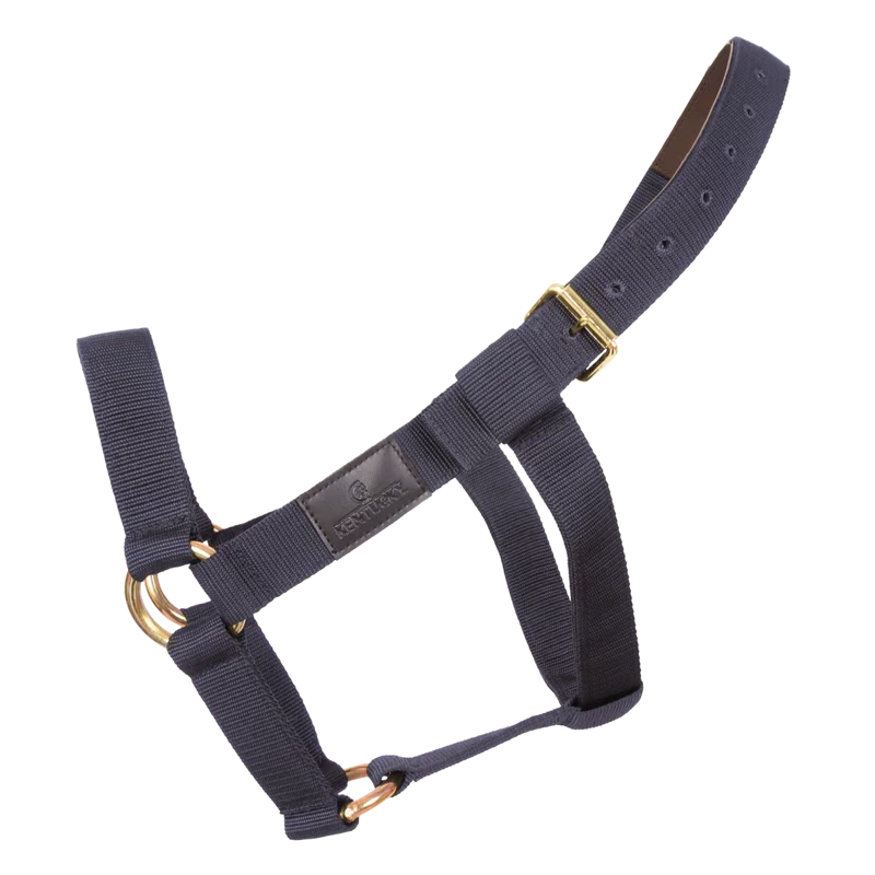 Kentucky Heavy Duty Headcollar - Navy-1