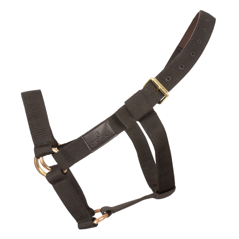 Kentucky Heavy Duty Headcollar - Black-1