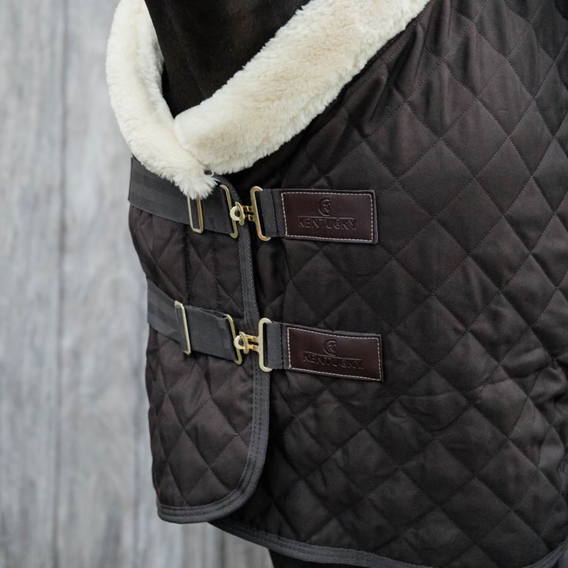 Kentucky Show Rug - Brown-2