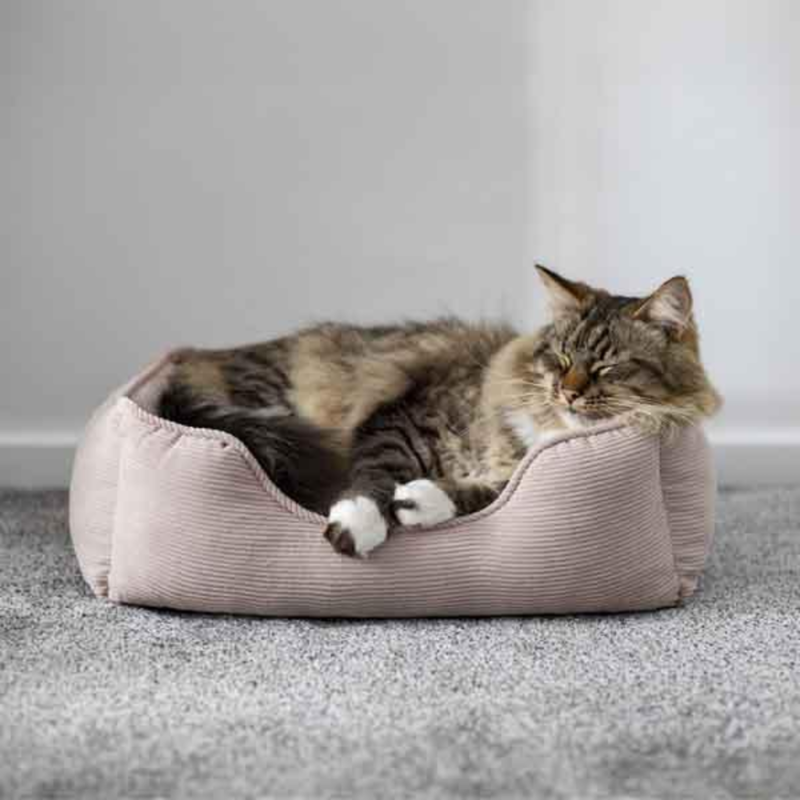 Rosewood Cord Square Pet Bed - Beige-1