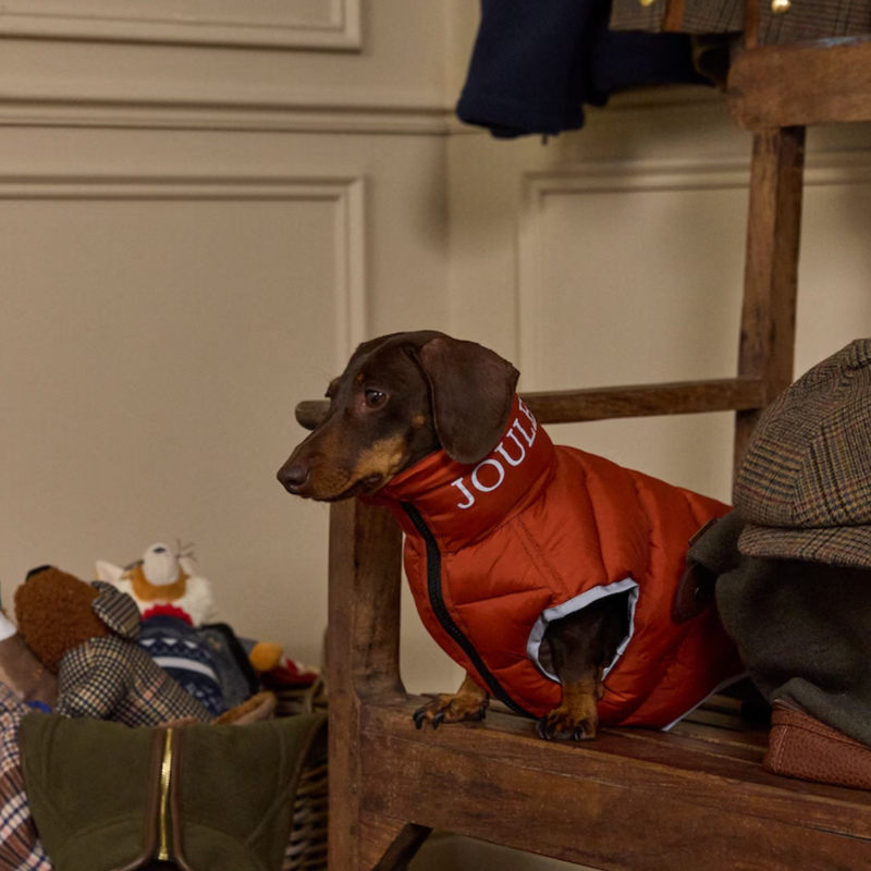 Joules Moorsdale Reversible Dog Puffer Coat - Ketchup-2