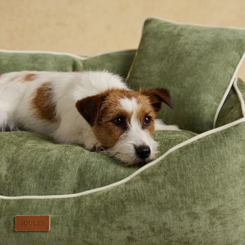 Joules Snuggler Dog Sofa - Apple-1