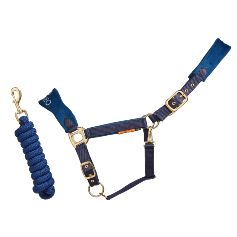 Cameo Suede Elite Headcollar and Rope - Navy-1