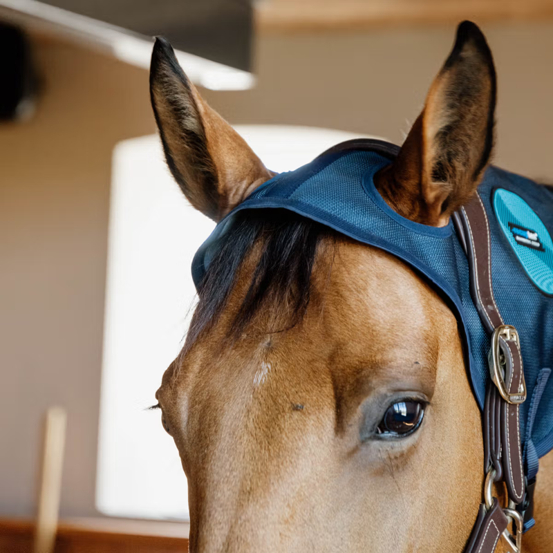 Kentucky Recuptex Magnetic Neck Protector-1
