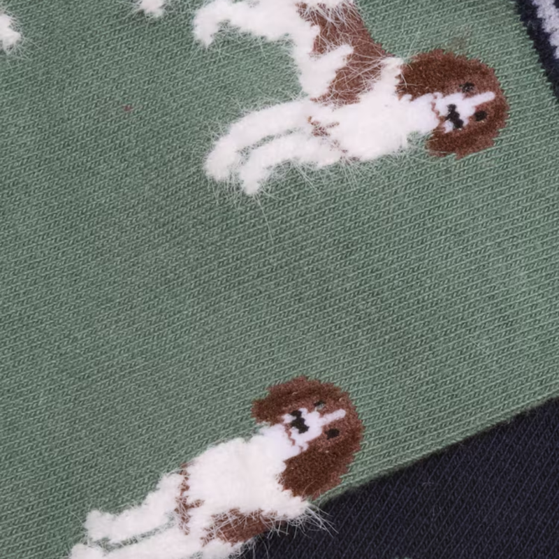 Joules Ladies Everyday 2 Pack Socks - Green Dog-1