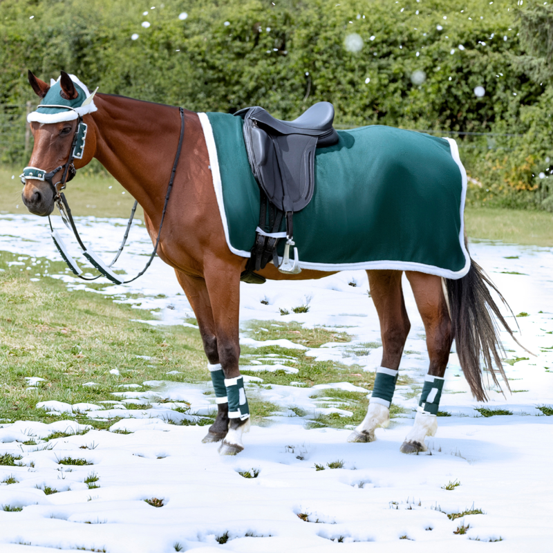 Hy Equestrian Christmas Elf Exercise Sheet - Green/White-1