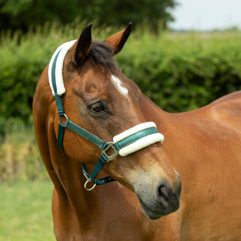 Hy Equestrian Christmas Elf Headcollar - Green Sparkle-1