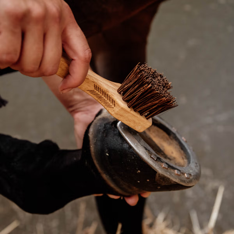 Grooming Deluxe Hoof Pick-1