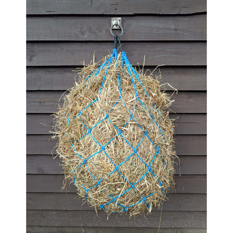 Gallop Haynet - Sky Blue-1