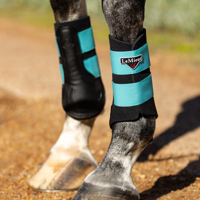 LeMieux Grafter Brushing Boot - Azure-1