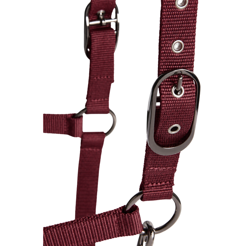 Tommy Hilfiger Yale Shine Headcollar and Rope Set  - Deep Burgundy-4