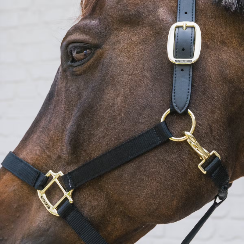 Kentucky Nylon Breakaway Headcollar - Black-1
