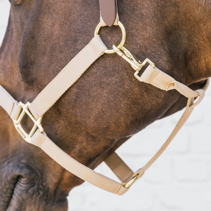 Kentucky Nylon Breakaway Headcollar - Beige-1