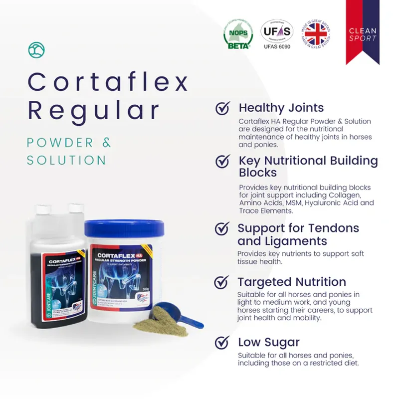 Equine America Cortaflex HA Regular Strength Solution - 1L-1