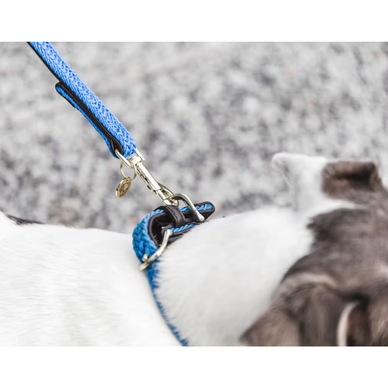 Kentucky Plaited Nylon Dog Lead 120cm - Light Blue-1