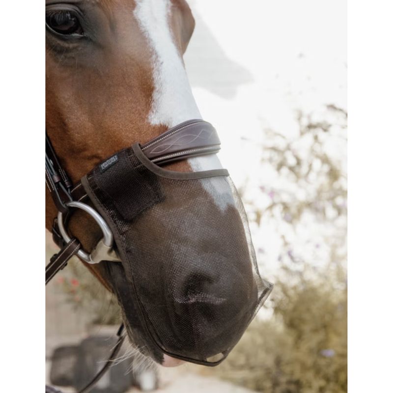 Kentucky Anti Fly Nose Net - Brown-1