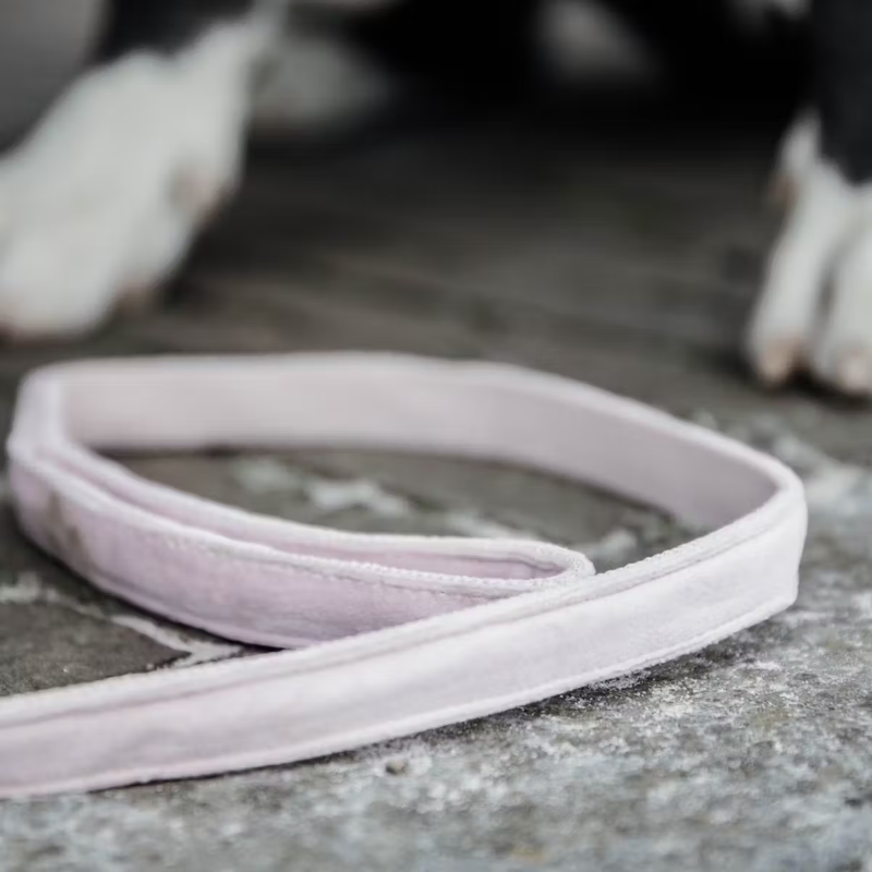 Kentucky Velvet Dog Lead 120cm - Soft Rose-1