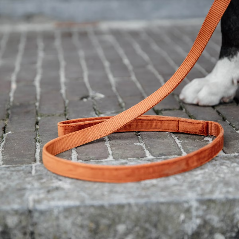 Kentucky Velvet Dog Lead 120cm - Orange-1