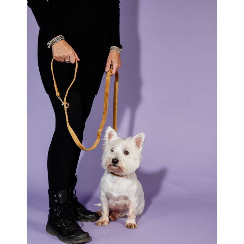 Kentucky Velvet Dog Lead 2m - Mustard-1