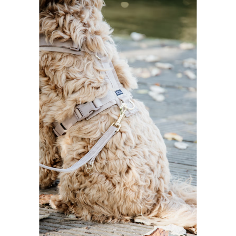 Kentucky Velvet Dog Lead 2m - Beige-1