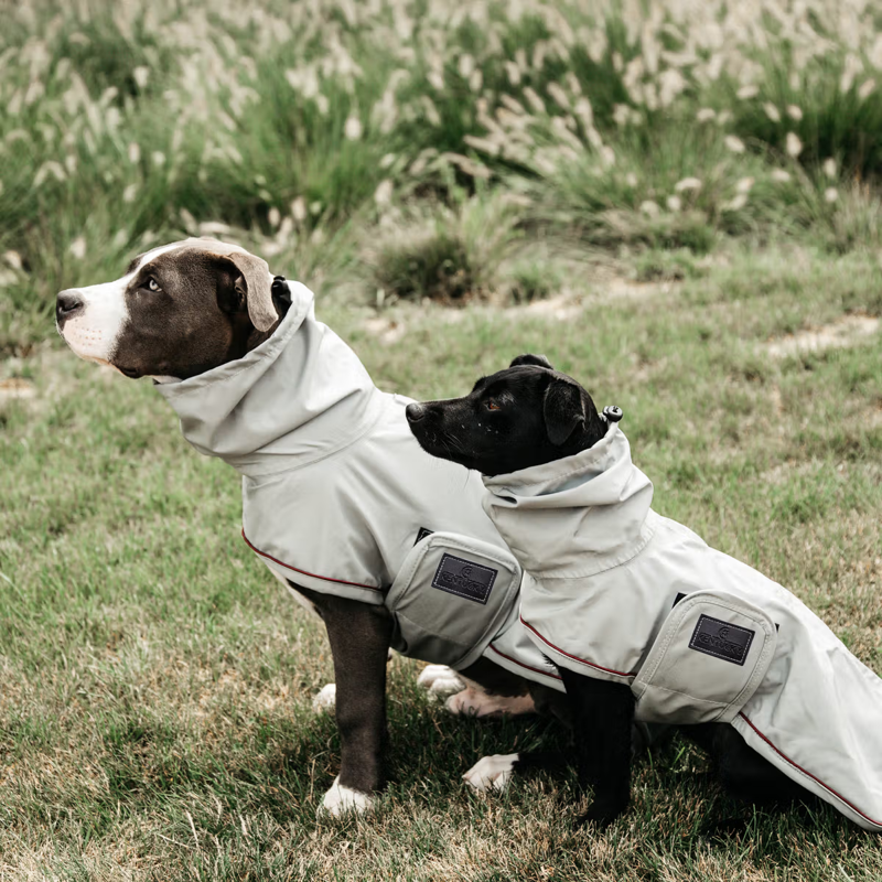 Kentucky Dog Raincoat - Dusty Blue-1