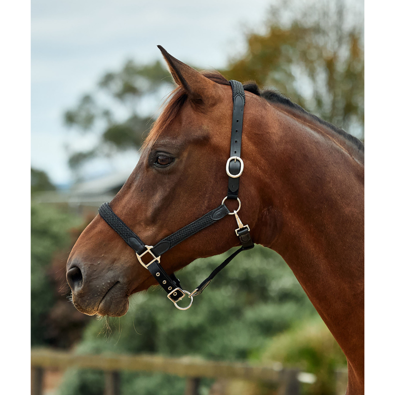 Dublin Braided Leather Headcollar - Black-1