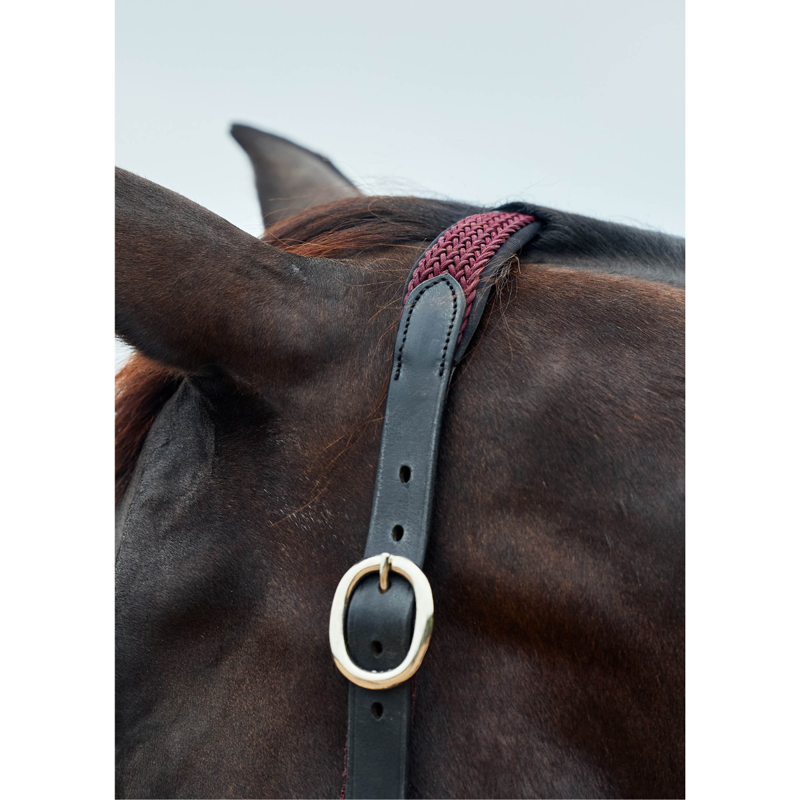 Dublin Braided Leather Headcollar - Burgundy-1