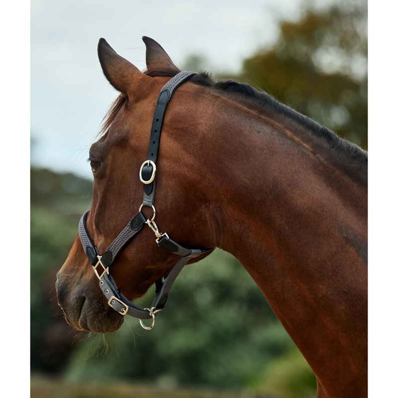 Dublin Braided Leather Headcollar - Charcoal-1
