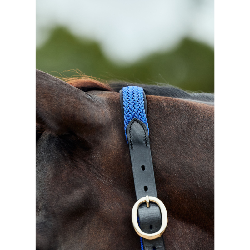 Dublin Braided Leather Headcollar - Cobalt-1