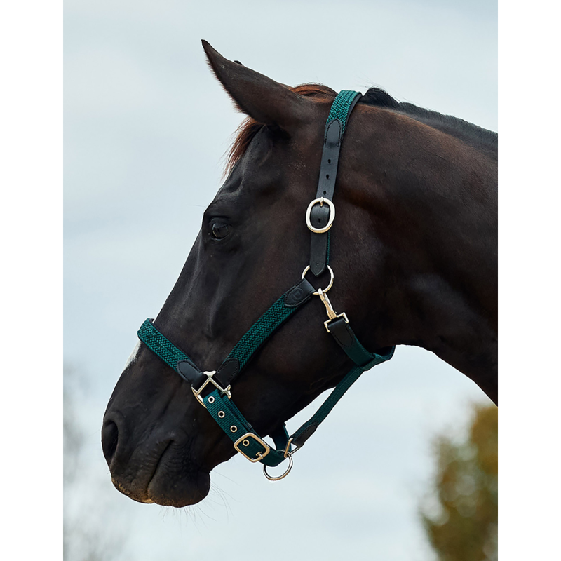 Dublin Braided Leather Headcollar - Hunter Green-1