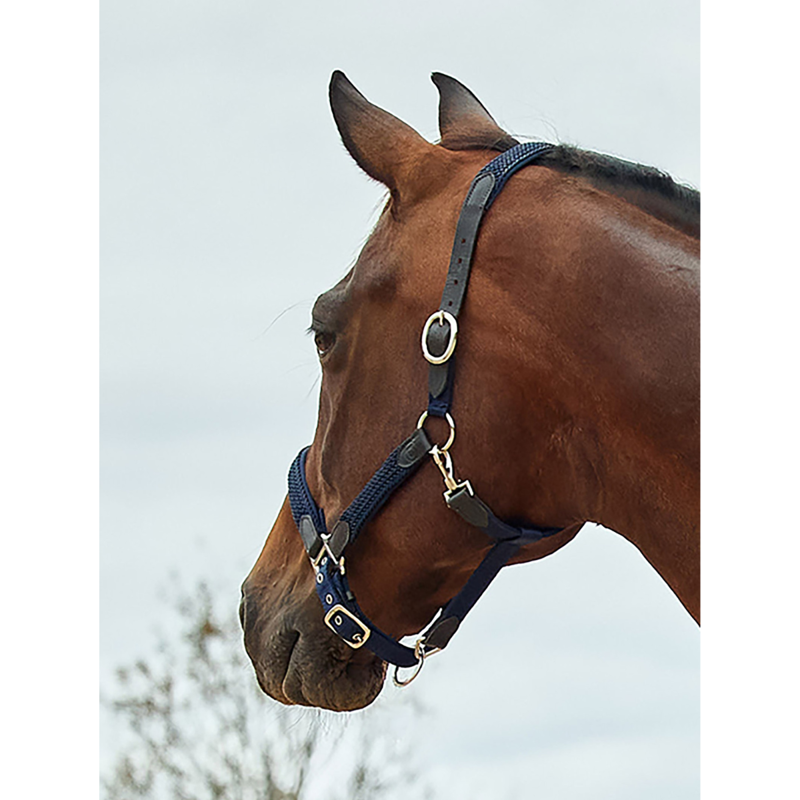 Dublin Braided Leather Headcollar - Navy-1