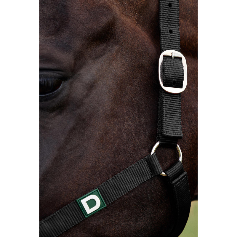Dublin Everyday Headcollar - Black-1