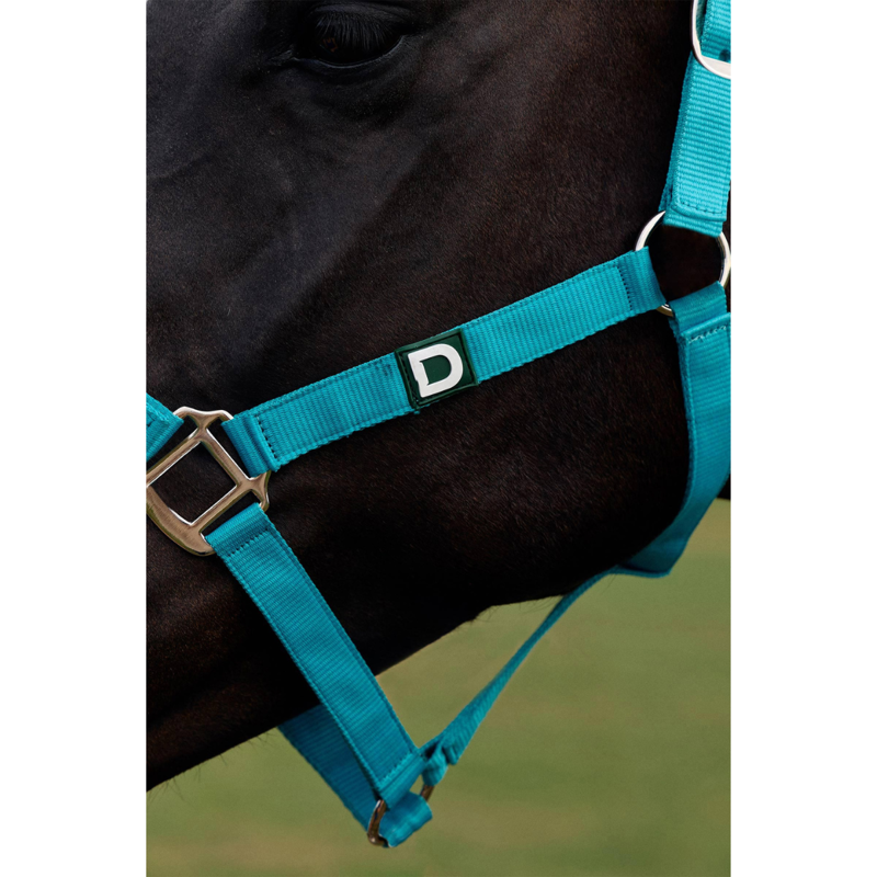 Dublin Everyday Headcollar - Dark Turquoise-1