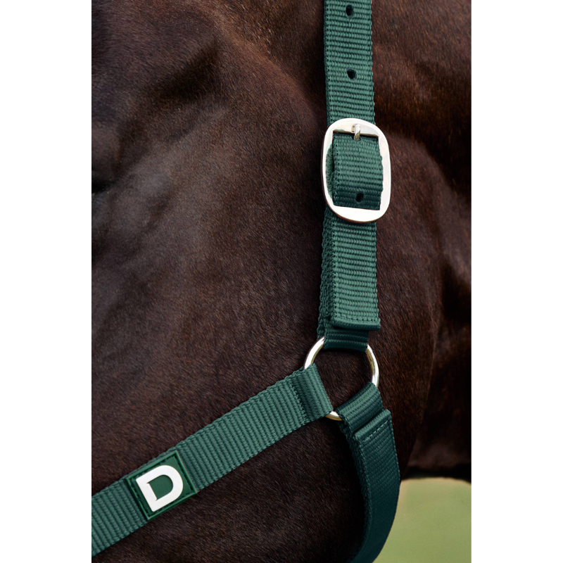 Dublin Everyday Headcollar - Green-1