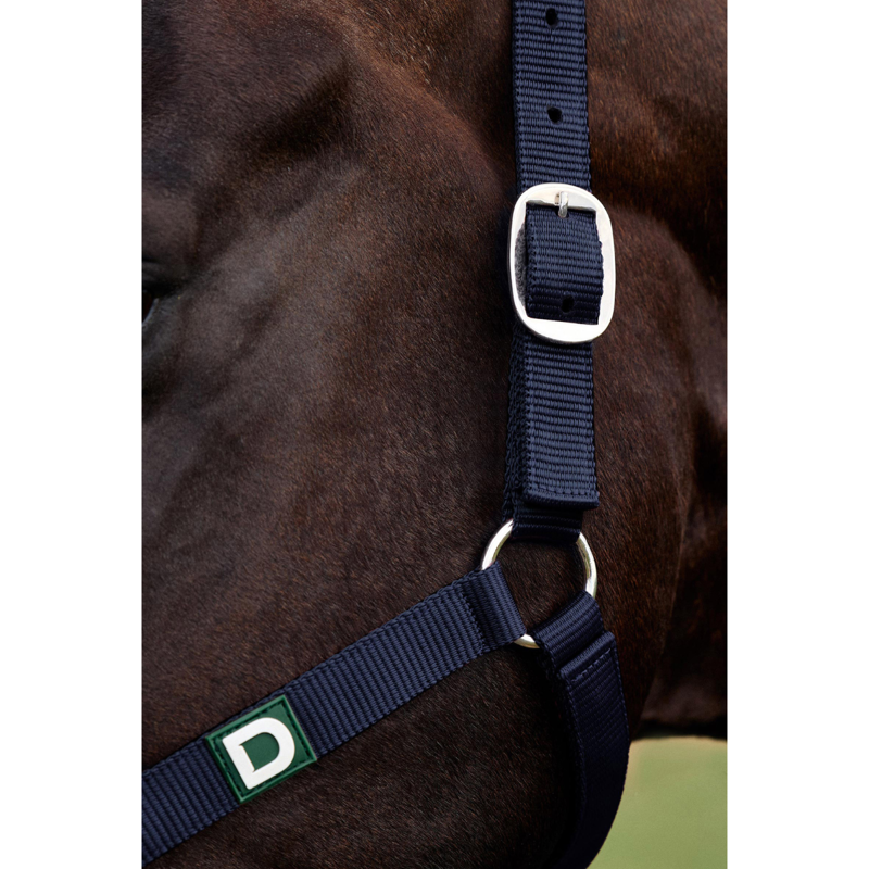 Dublin Everyday Headcollar - Navy-1